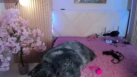 veronica_hill_ online show from July 29, 2026, 3:15 am