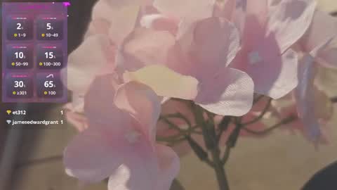 vickyvalencia2 online show from July 9, 2026, 1:09 am