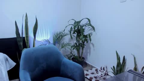 tatty online show from September 22, 2025, 11:01 am