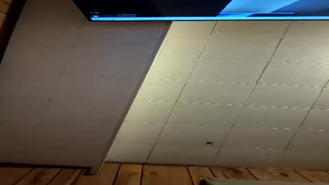 xqzxwkspiycs online show from July 12, 2026, 4:53 pm