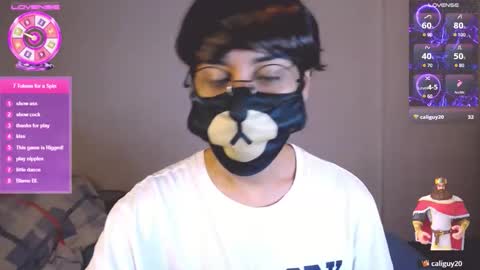 the puppy boy online show from June 3, 2026, 3:42 am