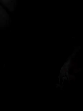 mia69x online show from December 4, 2025, 2:37 pm