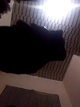 Blackpenis28 online show from May 2, 2026, 1:54 am