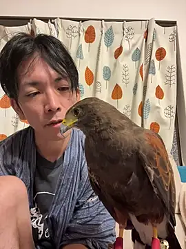 Katakuriko-Denpun online show from July 19, 2026, 1:48 pm