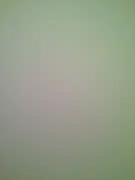 Snapshot of Lovensetest chatting on June 29, 2026, 5:57 am Lovensetest online show from June 29, 2026, 5:57 am