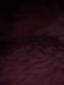 DManL online show from June 18, 2026, 2:56 am