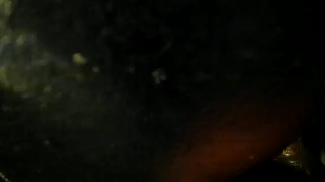 leatherz69 online show from May 22, 2026, 2:40 am