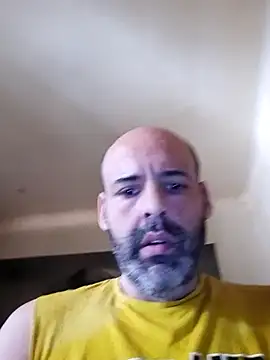 medioarabemediogypsi online show from July 24, 2026, 10:24 am