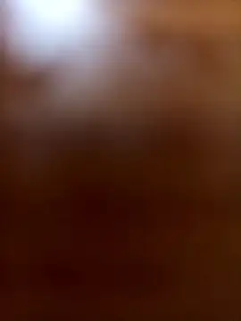 Snapshot of wildfox566 chatting on June 10, 2026, 4:01 am wildfox566 online show from June 10, 2026, 4:01 am
