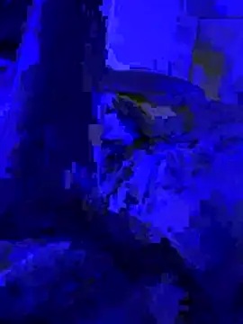 Naylee   online show from July 4, 2026, 8:26 pm