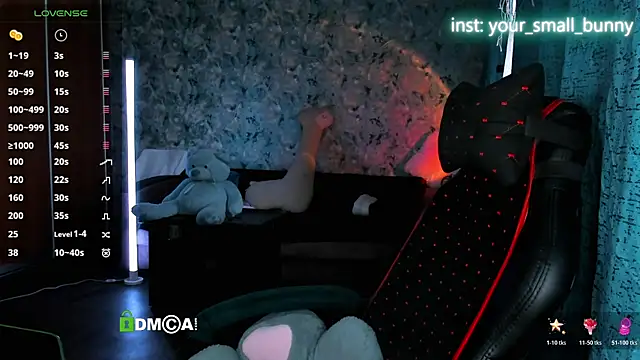 Your small bunny online show from May 8, 2026, 2:06 am