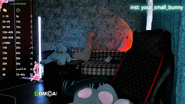 Your small bunny online show from May 22, 2026, 2:08 am