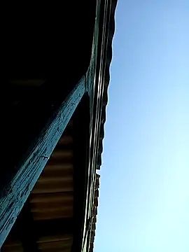 stary-w-kalesonach online show from July 22, 2026, 6:38 am