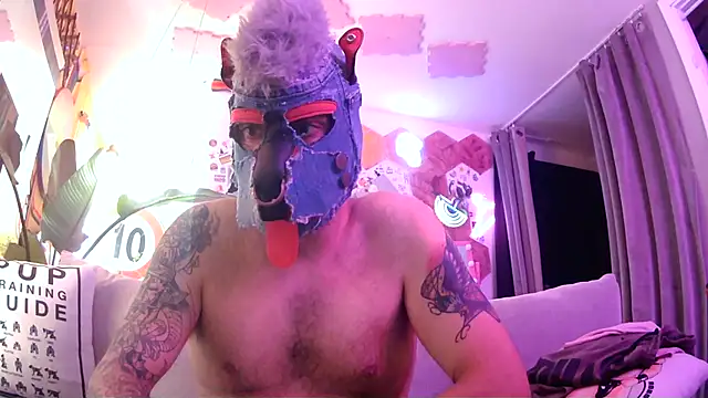 danix wild wolf online show from July 26, 2026, 10:00 am