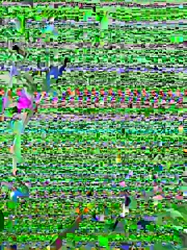 long nigth online show from June 6, 2026, 7:51 pm
