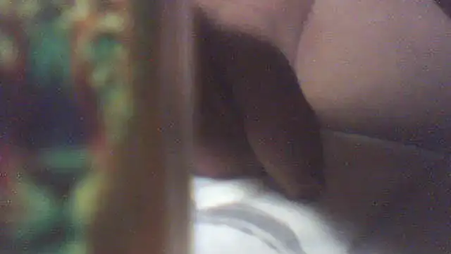 pietje1991 online show from June 26, 2026, 12:53 pm