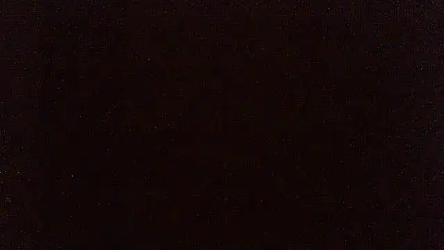 pietje1991 online show from June 30, 2026, 10:11 pm