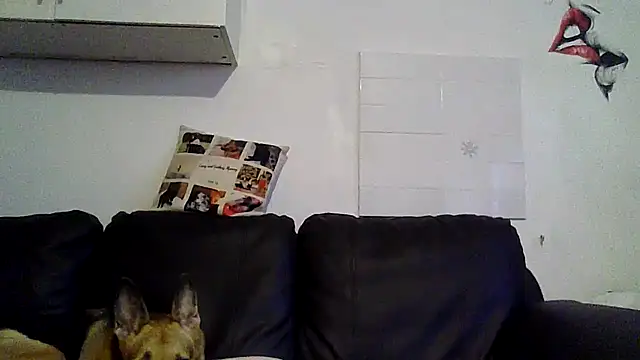 RubyyRosee online show from May 12, 2026, 5:26 am