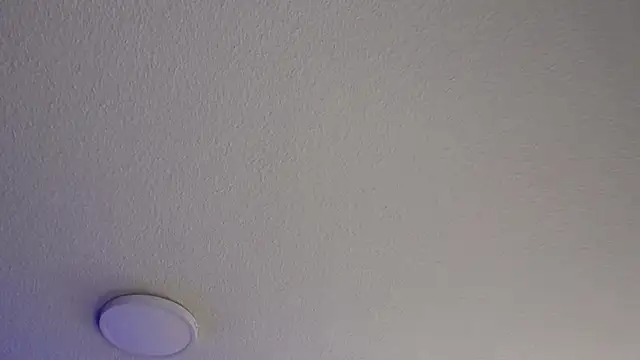  Charlotte Collins  online show from July 24, 2026, 4:27 pm