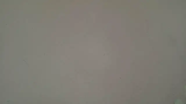 HornyElena online show from July 20, 2026, 3:14 pm