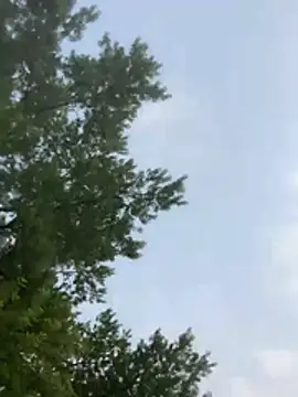 SpunRedneck online show from July 17, 2026, 12:17 am