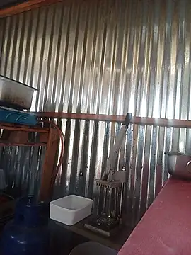 thabisozxz online show from July 10, 2026, 1:36 pm