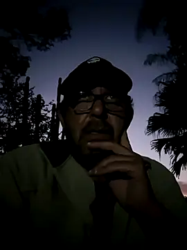 palmview2 online show from May 25, 2026, 3:40 pm