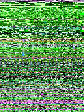 D SnowL online show from July 10, 2026, 7:49 pm