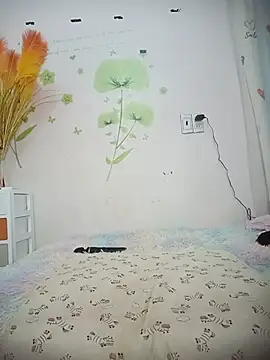 Meow cute online show from July 6, 2026, 6:43 am