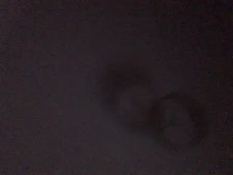 demongentil online show from July 27, 2026, 3:02 am