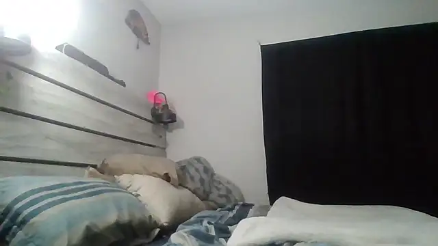 zdaddymm online show from June 29, 2026, 9:37 am