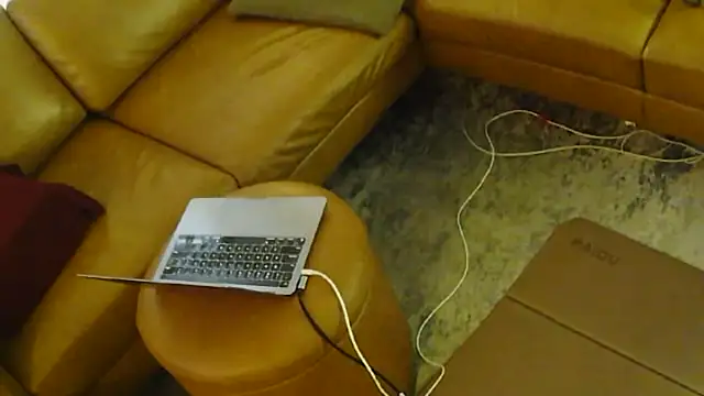 gaydandyboy online show from July 27, 2026, 11:01 pm