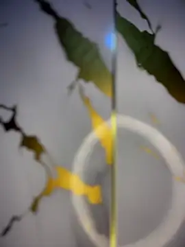 Antonellax   online show from July 15, 2026, 11:04 am