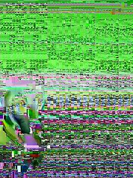 bigorange11 online show from June 20, 2026, 7:22 am