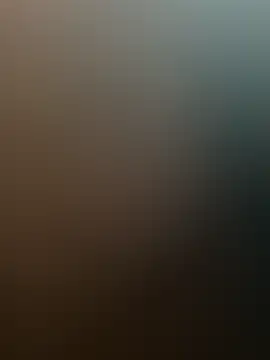 Snapshot of wizilx chatting on June 5, 2026, 1:50 pm wizilx online show from June 5, 2026, 1:50 pm