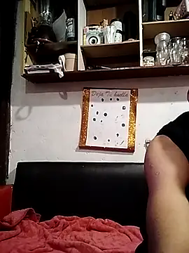 bellabrik online show from June 26, 2026, 2:49 am