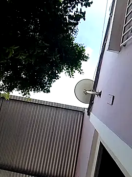bradboy Pigpisscum online show from July 29, 2026, 1:42 pm