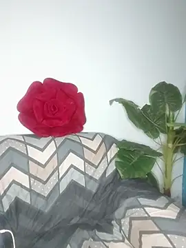 Cupid Mayra online show from August 5, 2026, 3:04 pm