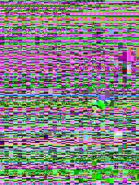 Jelmer57 online show from July 24, 2026, 8:51 pm