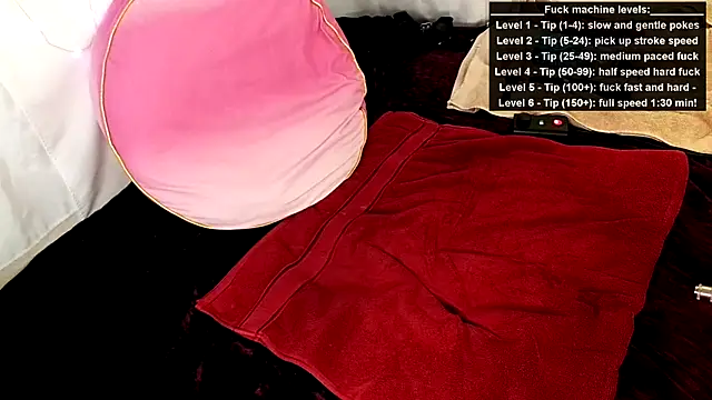 GamerGirlRoxyAndLee online show from June 15, 2026, 8:22 pm