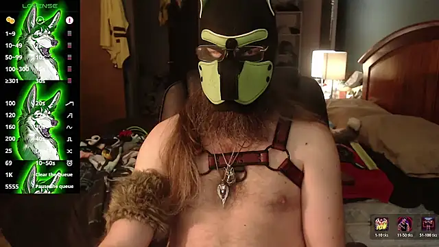 kinkywolf429 online show from July 1, 2026, 11:15 pm