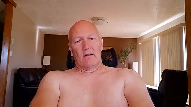 BasicAnt online show from July 15, 2026, 2:55 pm