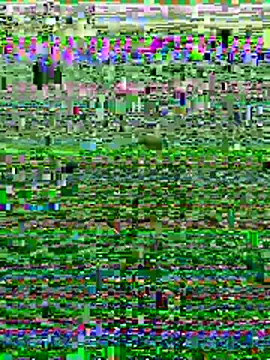 Wolfeman74 online show from July 11, 2026, 6:54 pm