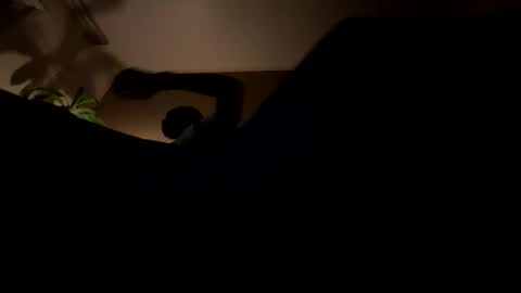 11rastamilkdudbbc online show from March 21, 2026, 3:22 am