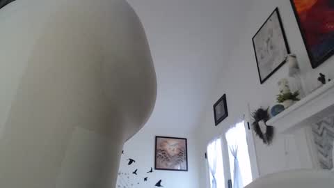 Aurora Willows online show from January 19, 2026, 3:27 pm