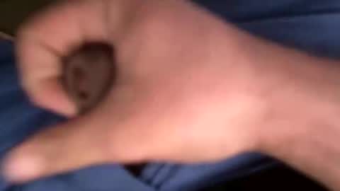 12theose online show from February 7, 2026, 10:30 am