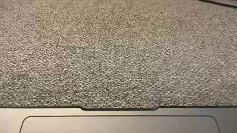 1arkansasguy online show from January 1, 2025, 2:52 pm