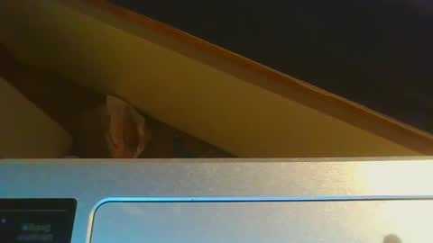 Jason online show from December 15, 2024, 8:58 pm