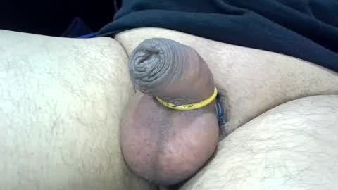 Snapshot of 1micapula chatting on December 28, 2024, 5:14 pm MICA online show from December 28, 2024, 5:14 pm