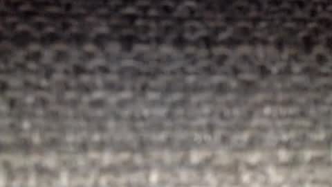 30nick online show from February 19, 2026, 4:08 am